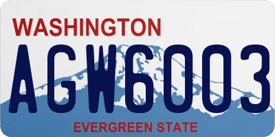WA license plate AGW6003