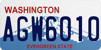WA license plate AGW6010