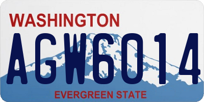 WA license plate AGW6014