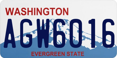 WA license plate AGW6016