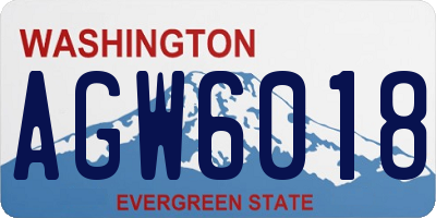 WA license plate AGW6018