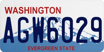 WA license plate AGW6029