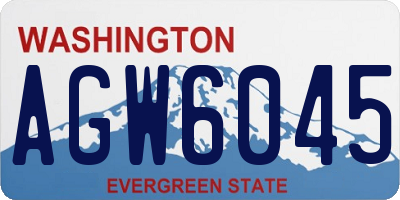 WA license plate AGW6045