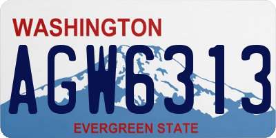 WA license plate AGW6313