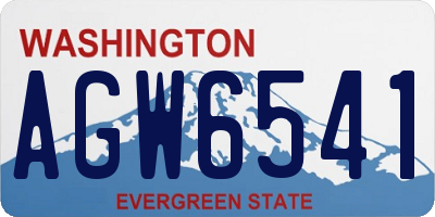 WA license plate AGW6541