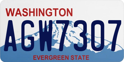 WA license plate AGW7307