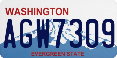 WA license plate AGW7309