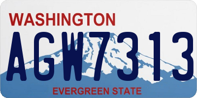 WA license plate AGW7313