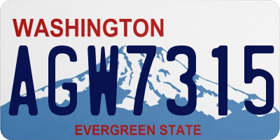 WA license plate AGW7315