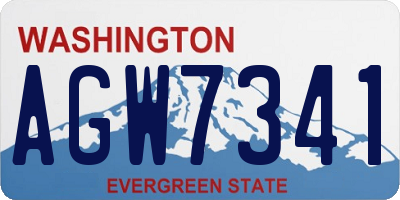 WA license plate AGW7341
