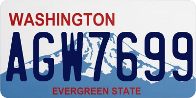 WA license plate AGW7699