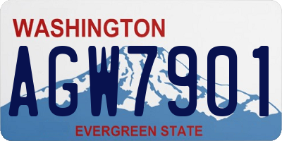 WA license plate AGW7901
