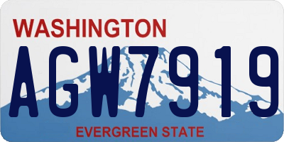 WA license plate AGW7919