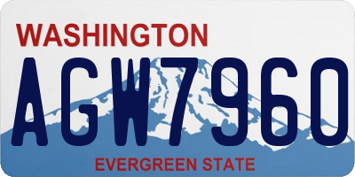 WA license plate AGW7960