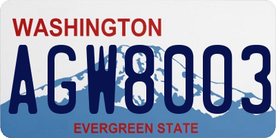 WA license plate AGW8003