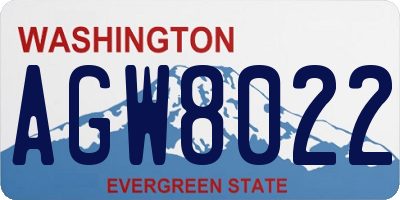 WA license plate AGW8022