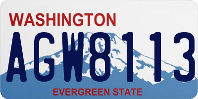 WA license plate AGW8113