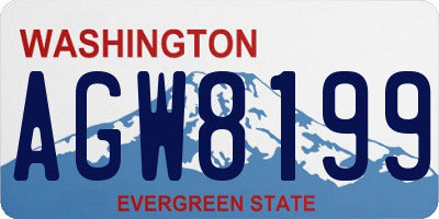 WA license plate AGW8199
