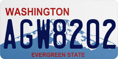 WA license plate AGW8202