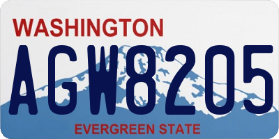 WA license plate AGW8205