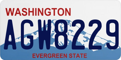 WA license plate AGW8229