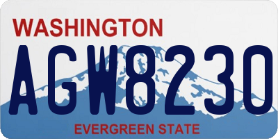 WA license plate AGW8230