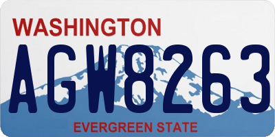WA license plate AGW8263