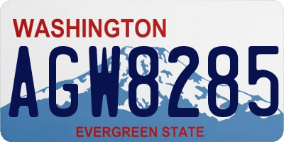 WA license plate AGW8285