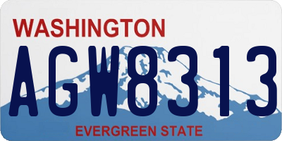 WA license plate AGW8313