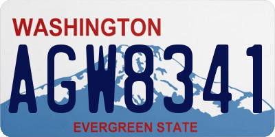WA license plate AGW8341
