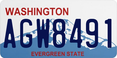 WA license plate AGW8491