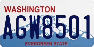 WA license plate AGW8501
