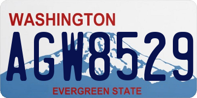 WA license plate AGW8529