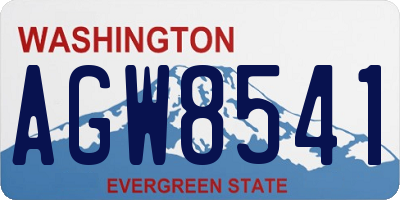 WA license plate AGW8541