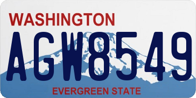 WA license plate AGW8549