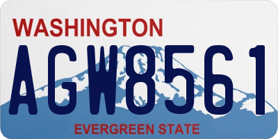 WA license plate AGW8561