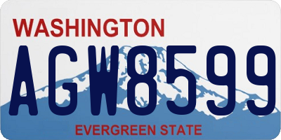 WA license plate AGW8599