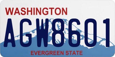 WA license plate AGW8601
