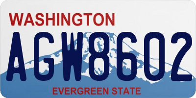 WA license plate AGW8602