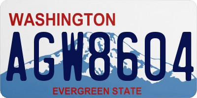 WA license plate AGW8604