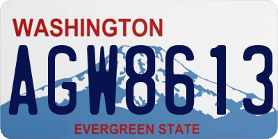 WA license plate AGW8613