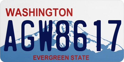 WA license plate AGW8617