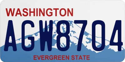 WA license plate AGW8704