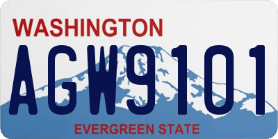 WA license plate AGW9101