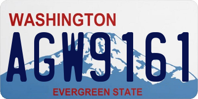 WA license plate AGW9161