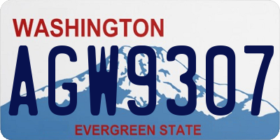 WA license plate AGW9307