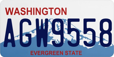 WA license plate AGW9558