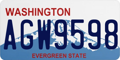 WA license plate AGW9598
