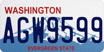 WA license plate AGW9599
