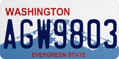 WA license plate AGW9803